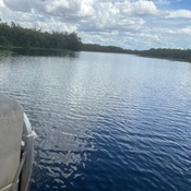 Photo submitted by Renee