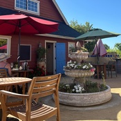 Photo submitted by Laura