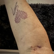 Photo submitted by Marissa