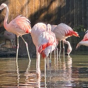 Photo submitted by Christine