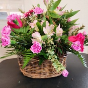 Photo submitted by Paula