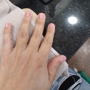 Photo submitted by Guest