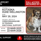 Photo submitted by Airika