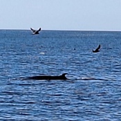 Photo submitted by Emily