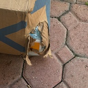 Photo submitted by Guest