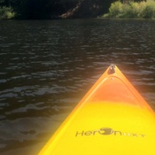 Photo submitted by Rebecca