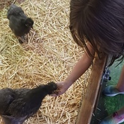 Photo submitted by Joe