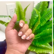 Photo submitted by Dilruba