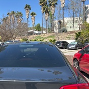 Photo submitted by Cyndie