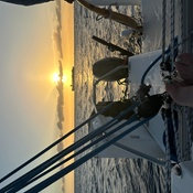 Photo submitted by Katie