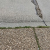 Photo submitted by Anthony