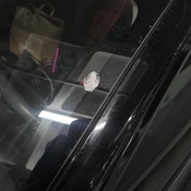 Photo submitted by Ariana