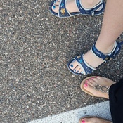 Photo submitted by Rose