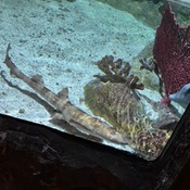 Photo submitted by Chris