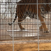 Photo submitted by Erin