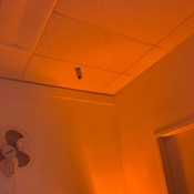 Photo submitted by Guest