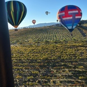 Photo submitted by Eryn