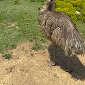 Photo submitted by rabia