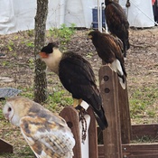 Photo submitted by Anthony