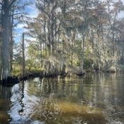 Photo submitted by Yiding