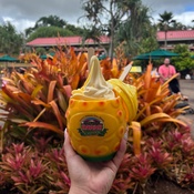 Photo submitted by Brittney