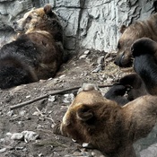 Photo submitted by Jamal