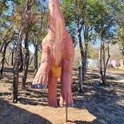 Photo submitted by Darshan