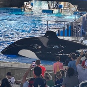 Photo submitted by Christine