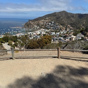 Photo submitted by Guest