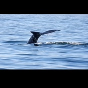 Photo submitted by Alexandria