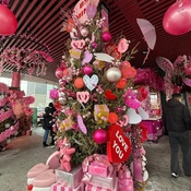 Photo submitted by Sandra