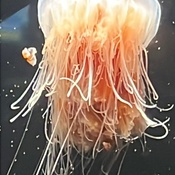 Photo submitted by Paul