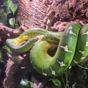 Photo submitted by Eli