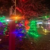 Photo submitted by Guest