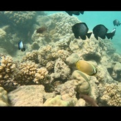 Photo submitted by Keisha