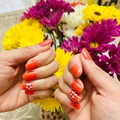 Photo submitted by Rashmi