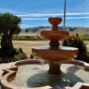 Photo submitted by Michael