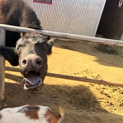 Photo submitted by Julisa