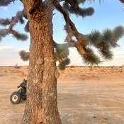 Photo submitted by Seek