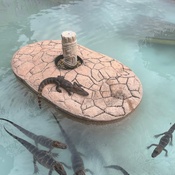 Photo submitted by Sabrina