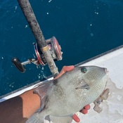 Photo submitted by Moe