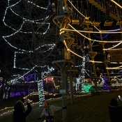 Photo submitted by terry