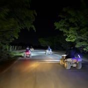 Photo submitted by stephanie