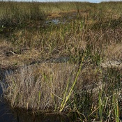 Photo submitted by Julia