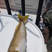 Photo submitted by Guest