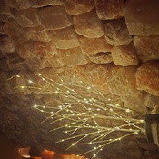 Photo submitted by C