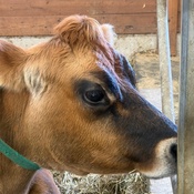 Photo submitted by Joan