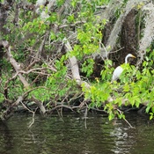 Photo submitted by Jolanta