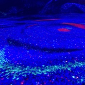 Photo submitted by Guest