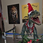 Photo submitted by Trisha